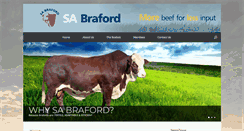 Desktop Screenshot of braford.co.za